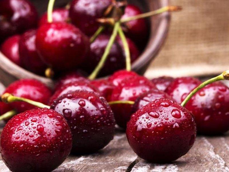 Вишня купить саженцы из питомника в Мегионе
